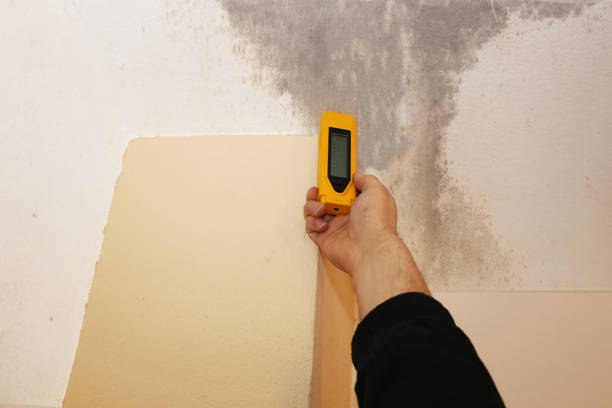 Best Water Damage & Mold Remediation  in Menlo Park, CA