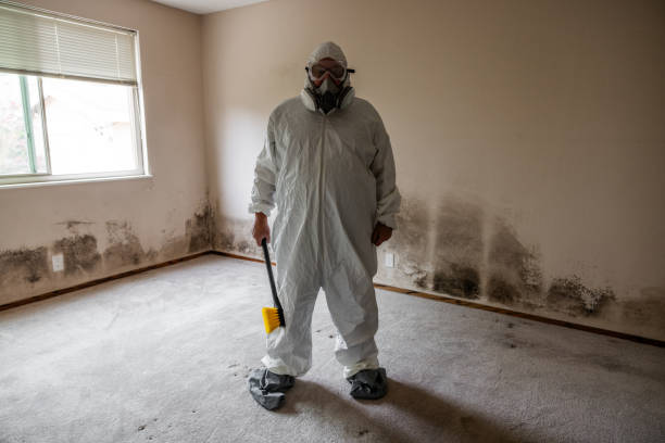 Mold Remediation for Rental Properties in Menlo Park, CA